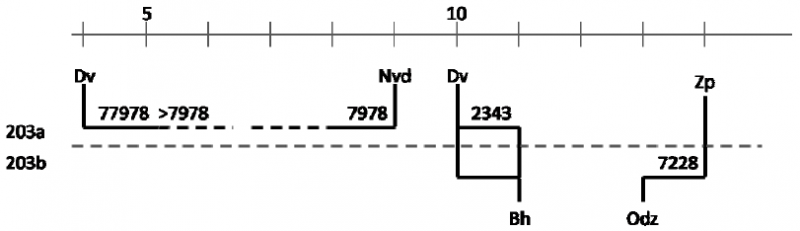 File:Timevis basics trains 2.png